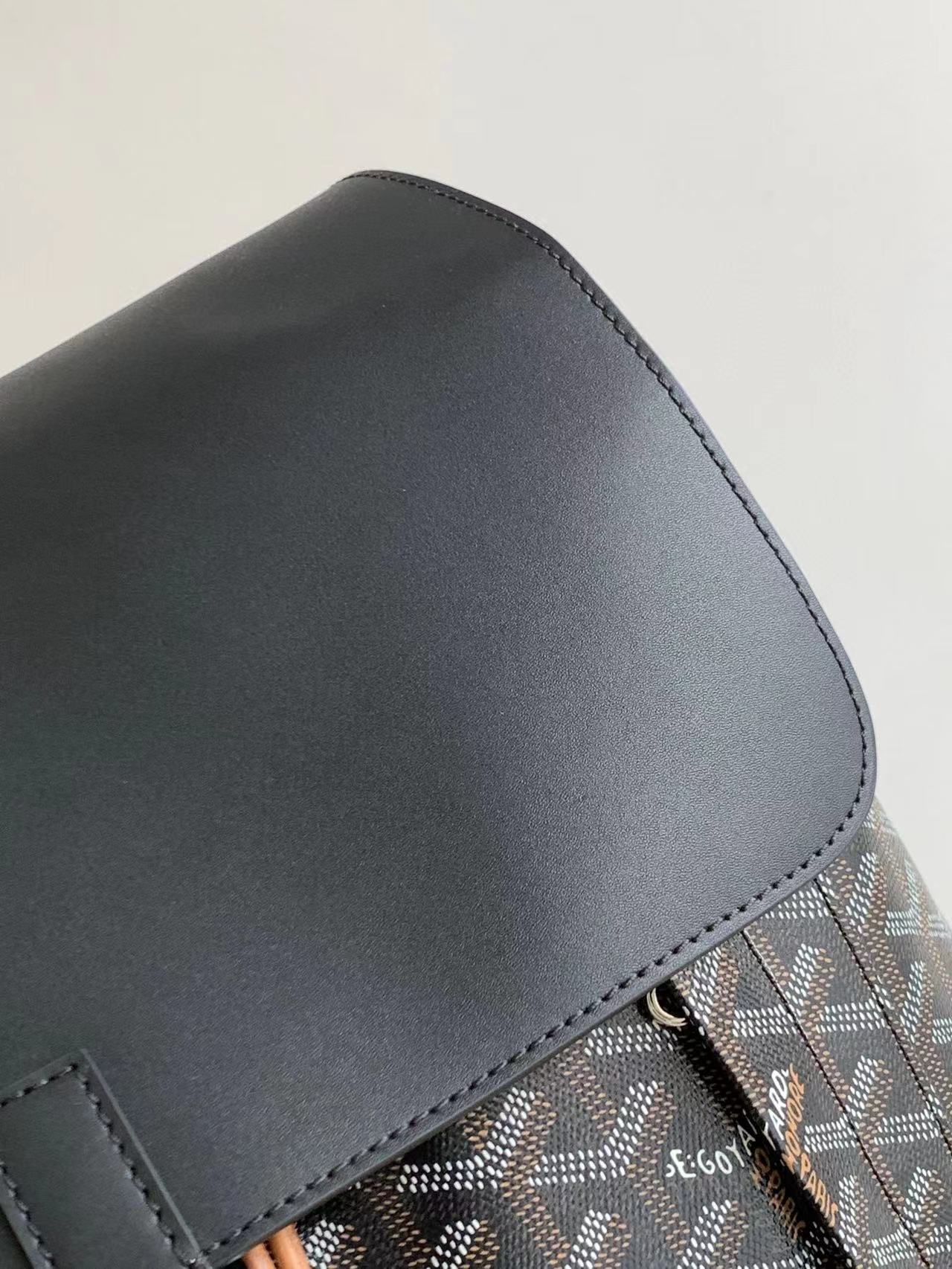 Goyard Alpin MM Backpack 39x32x15.5