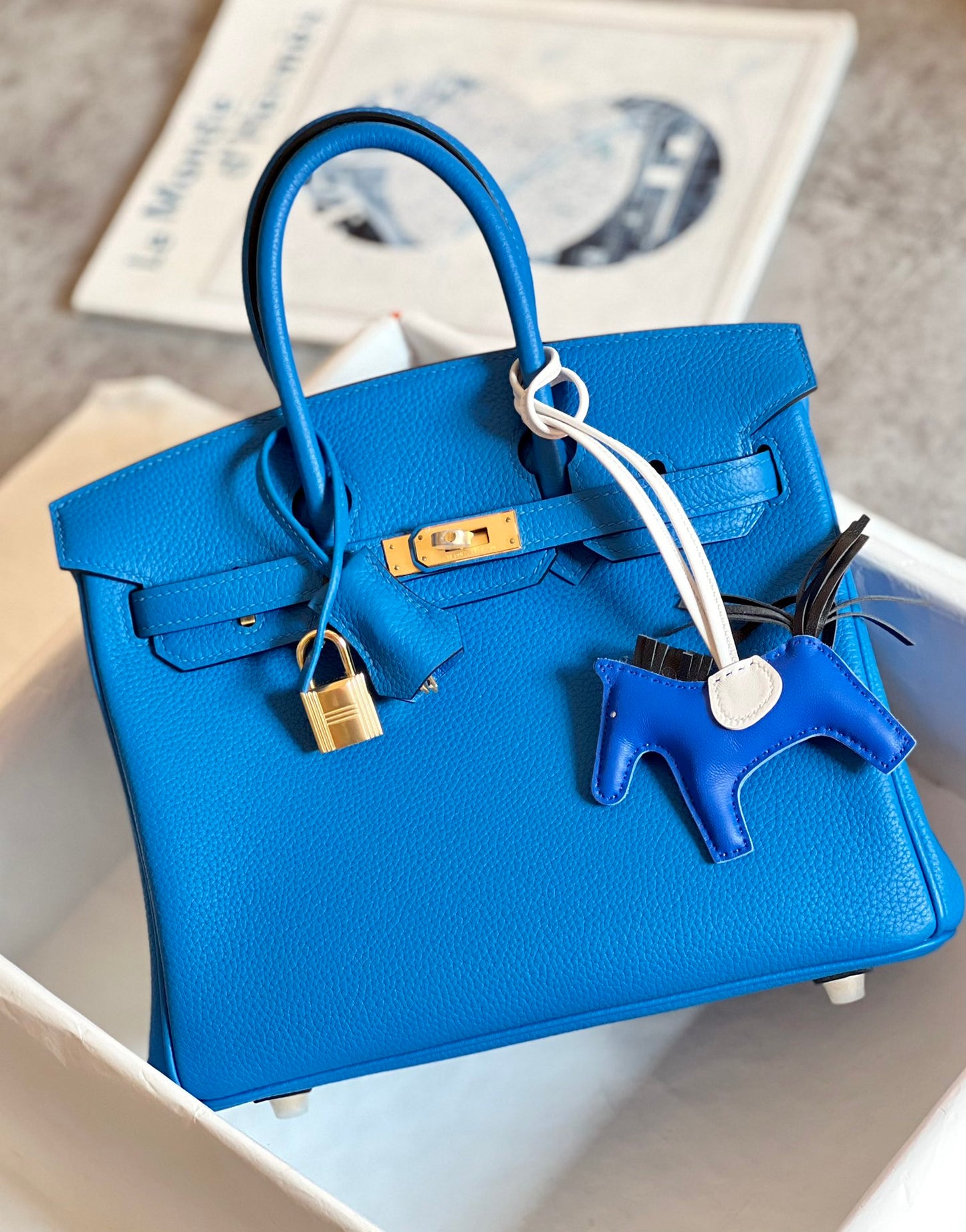 Birkin 25 Bleu Zanzibar Bag