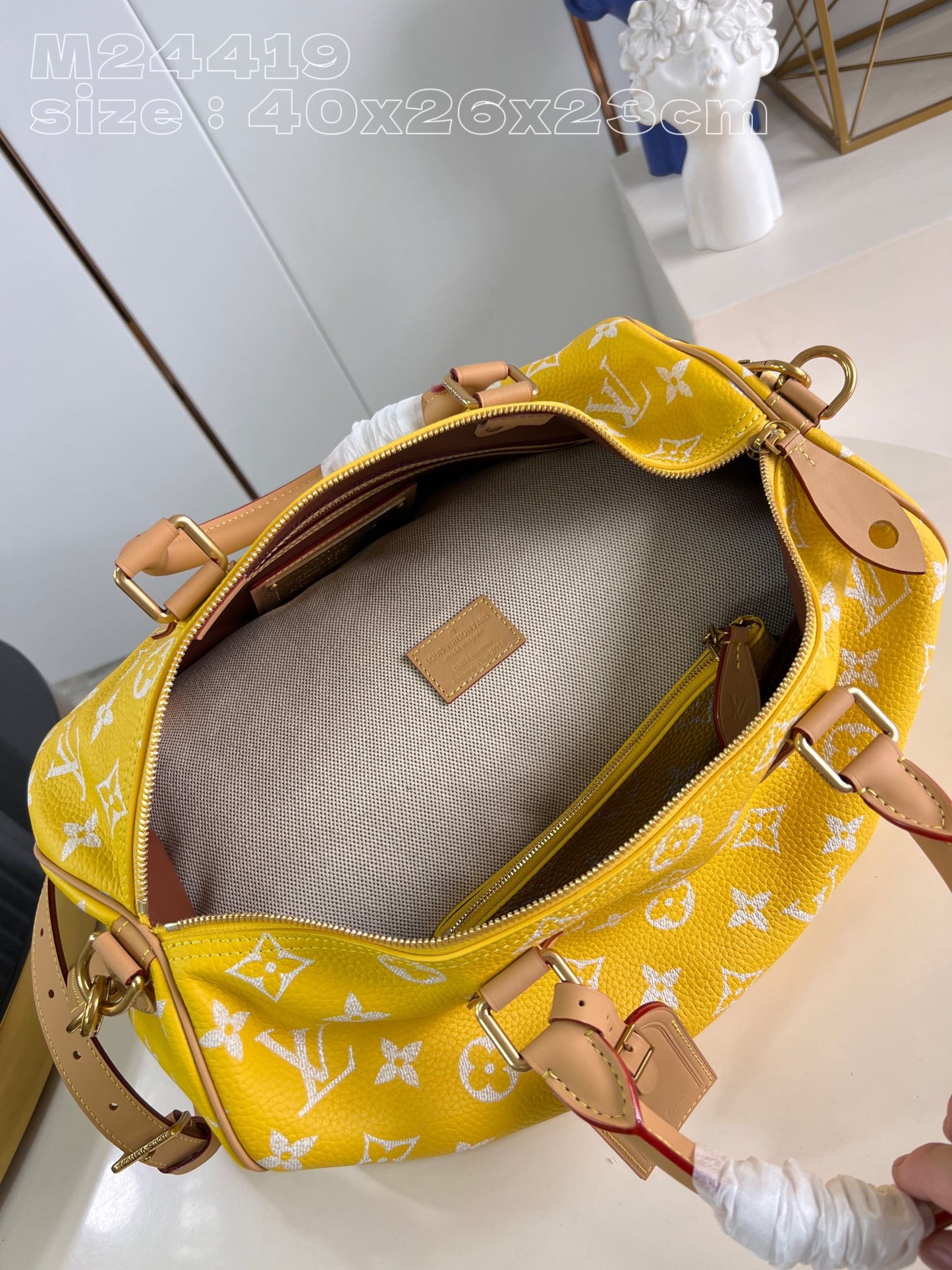 Louis Vuitton Speedy P9 Bandoulière 40 M24419