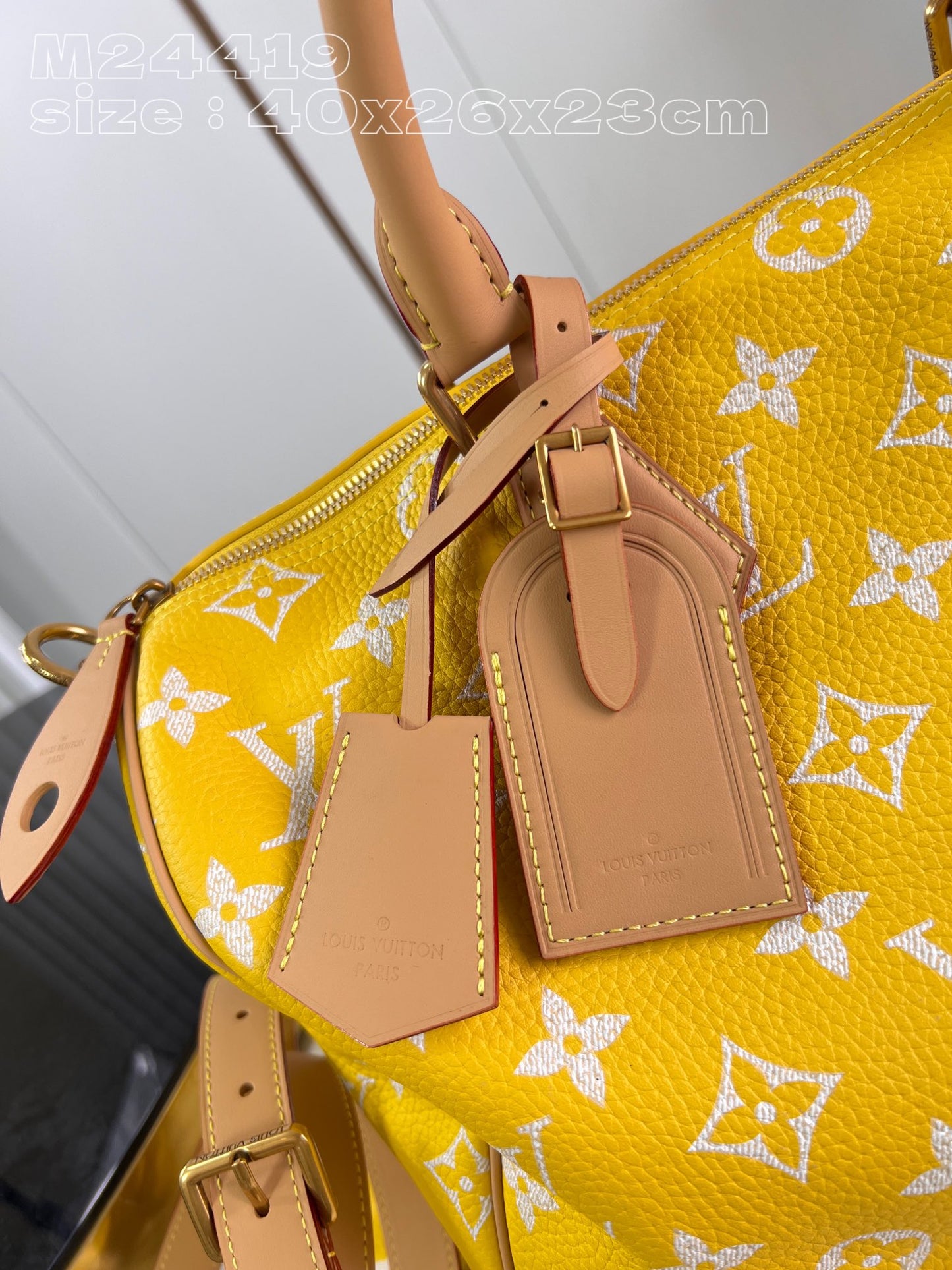 Louis Vuitton Speedy P9 Bandoulière 40 M24419