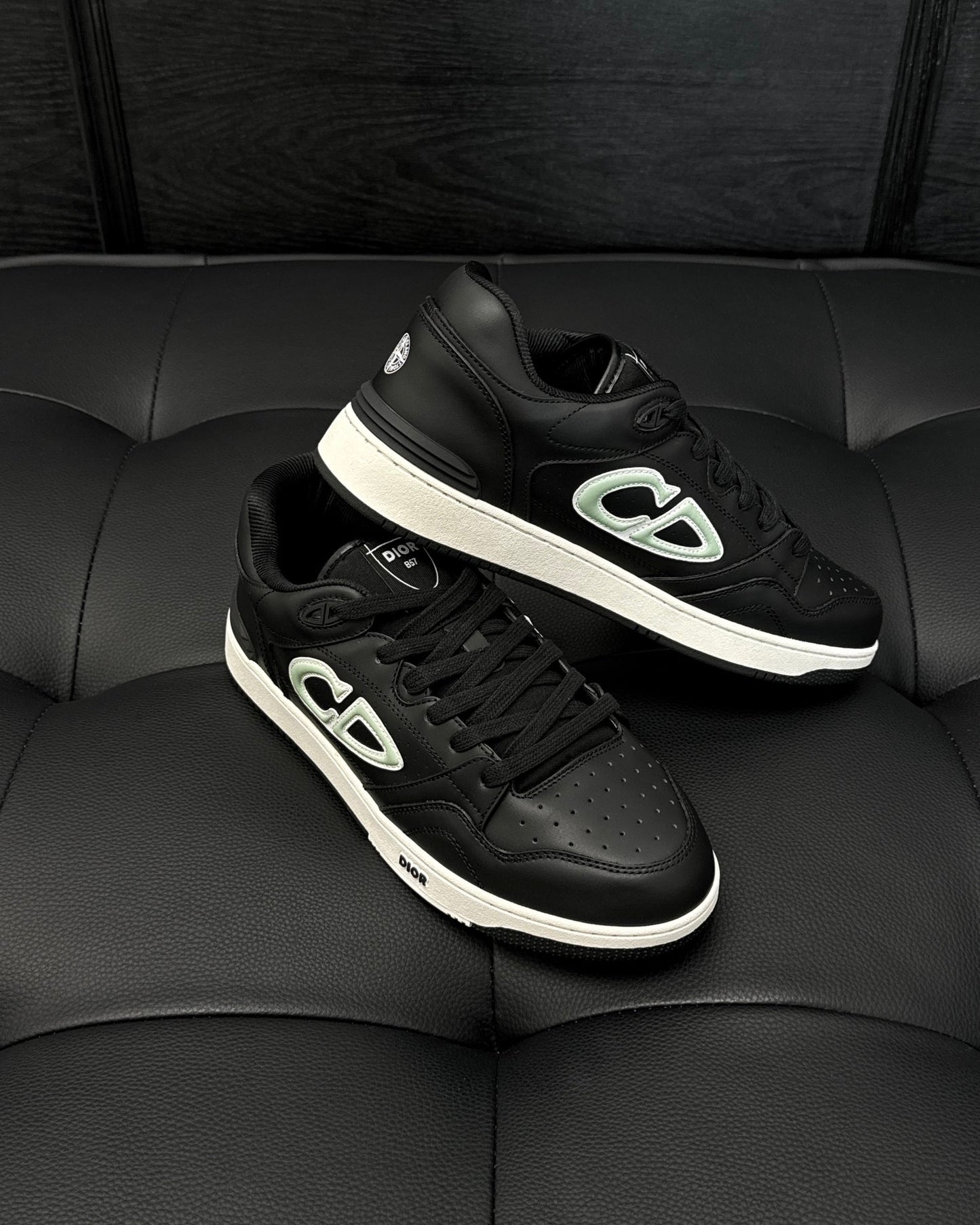 DIOR AND STONE ISLAND B57 Low-Top Sneaker