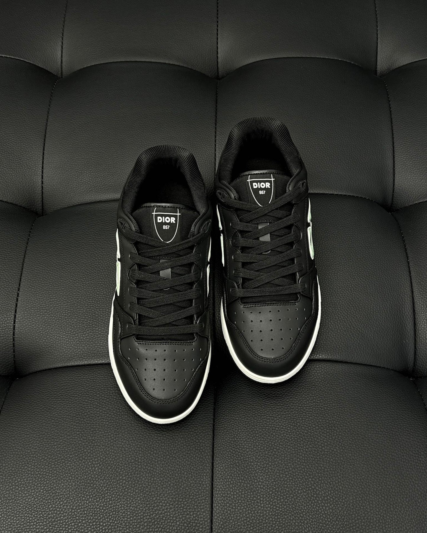 DIOR AND STONE ISLAND B57 Low-Top Sneaker