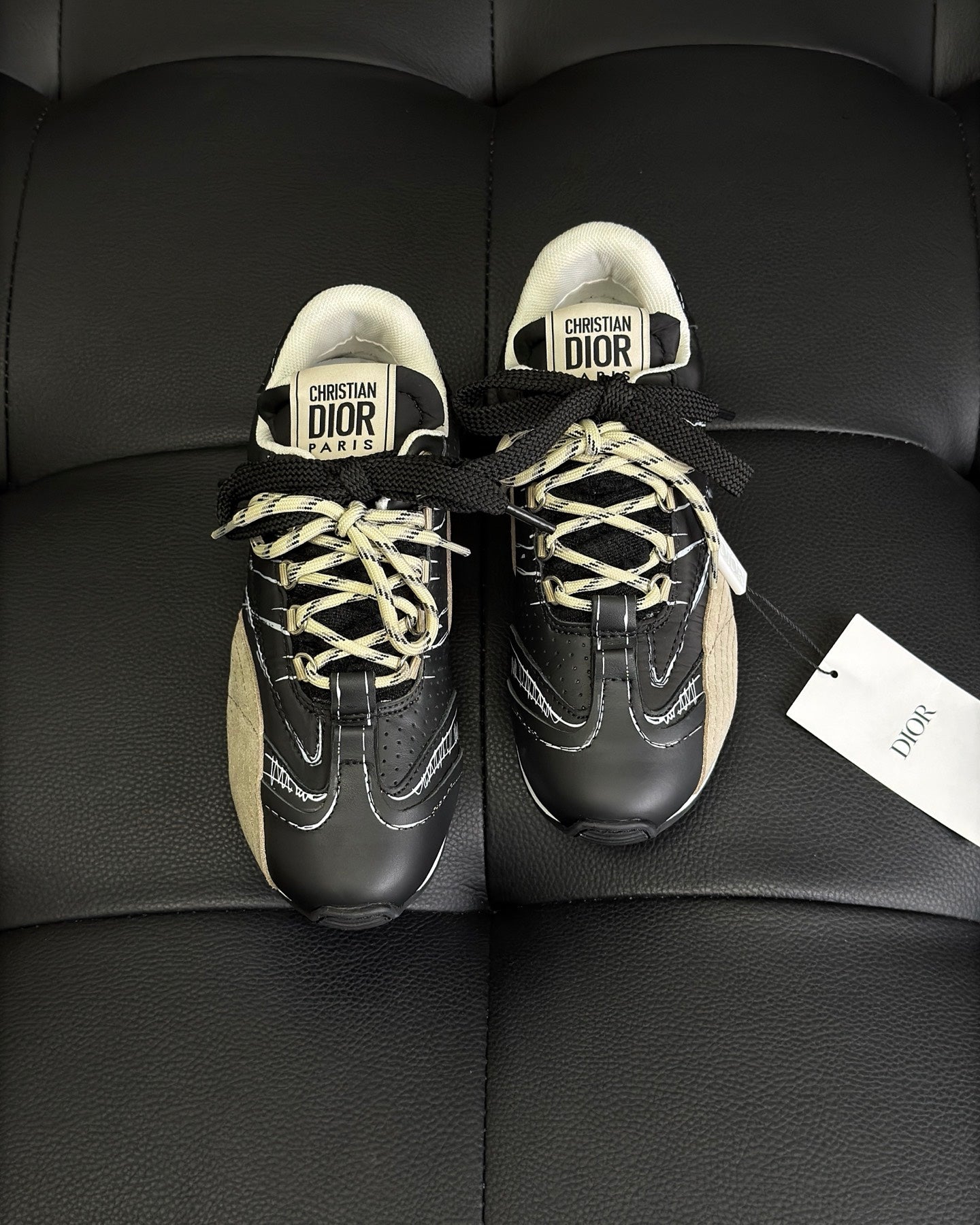 Dior D-Sketch Sneaker Black nylon