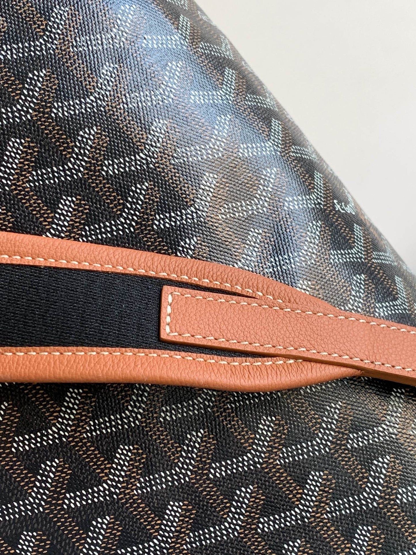 Goyard Cisalpin Backpack Black and Tan