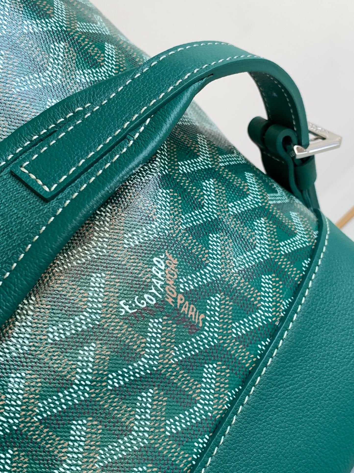 Goyard Cisalpin Backpack Green