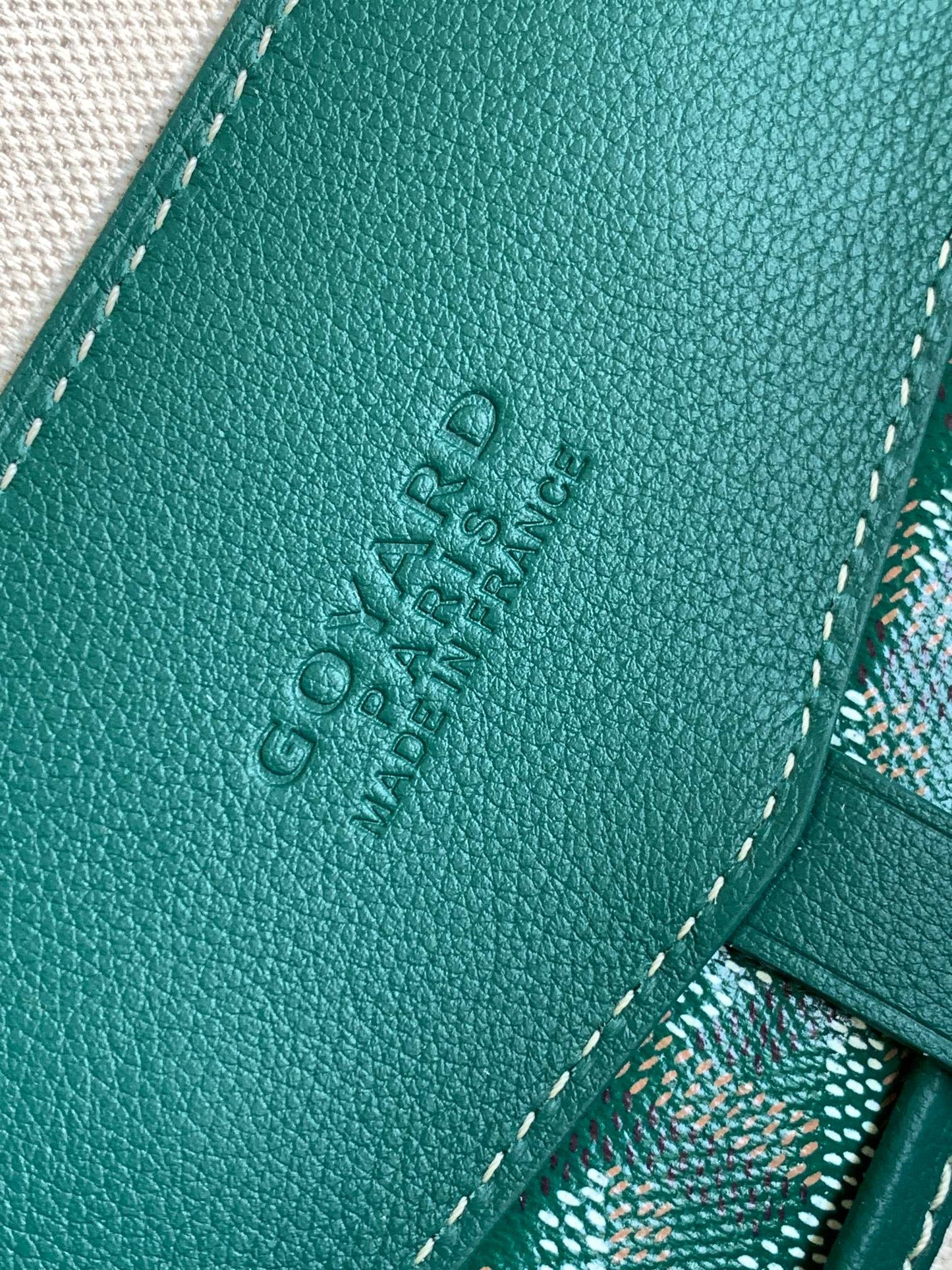 Goyard Cisalpin Backpack Green