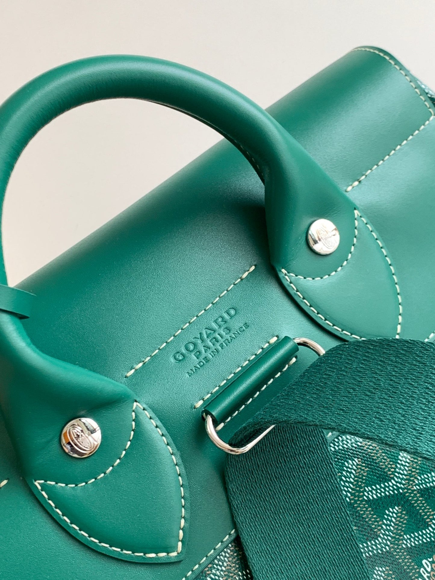Goyard Alpin MM Backpack Green
