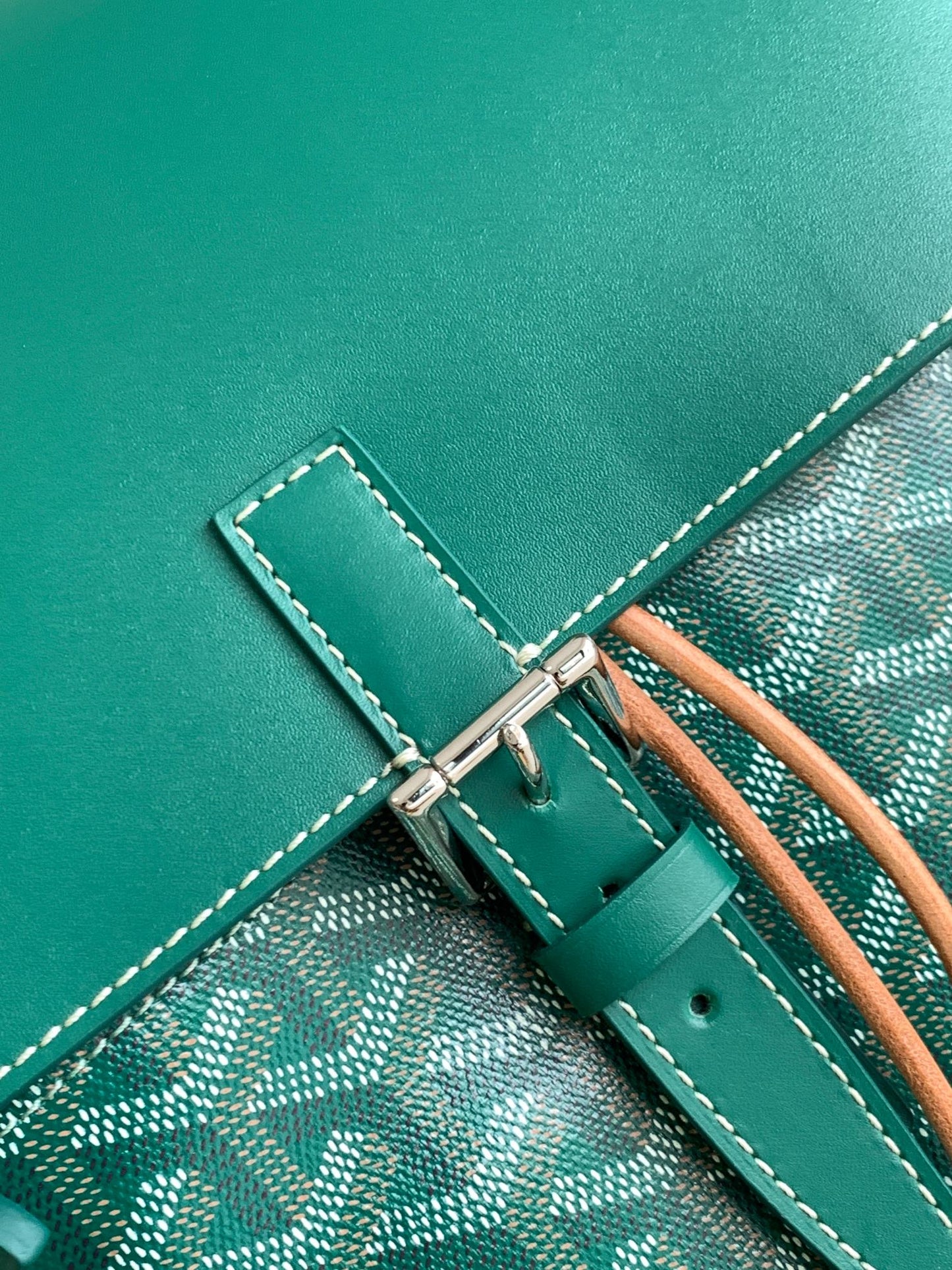 Goyard Alpin MM Backpack Green