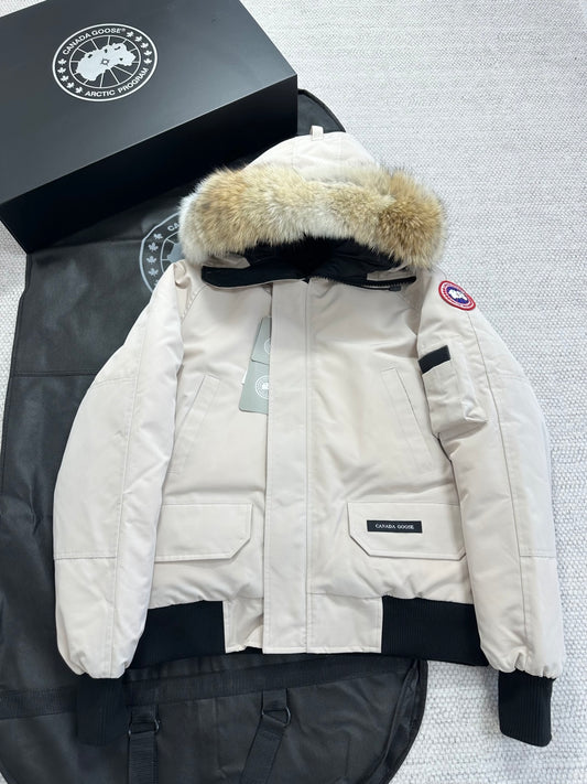 Canada Goose Chilliwack Bomber PBI