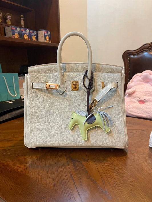Birkin 25 Epsom Sellier bag