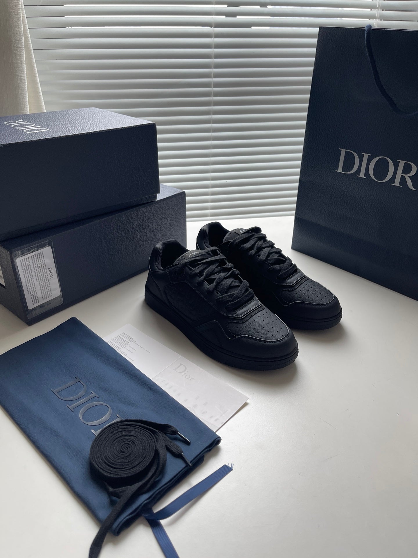 Dior B27 Low-Top Sneaker Black Grained