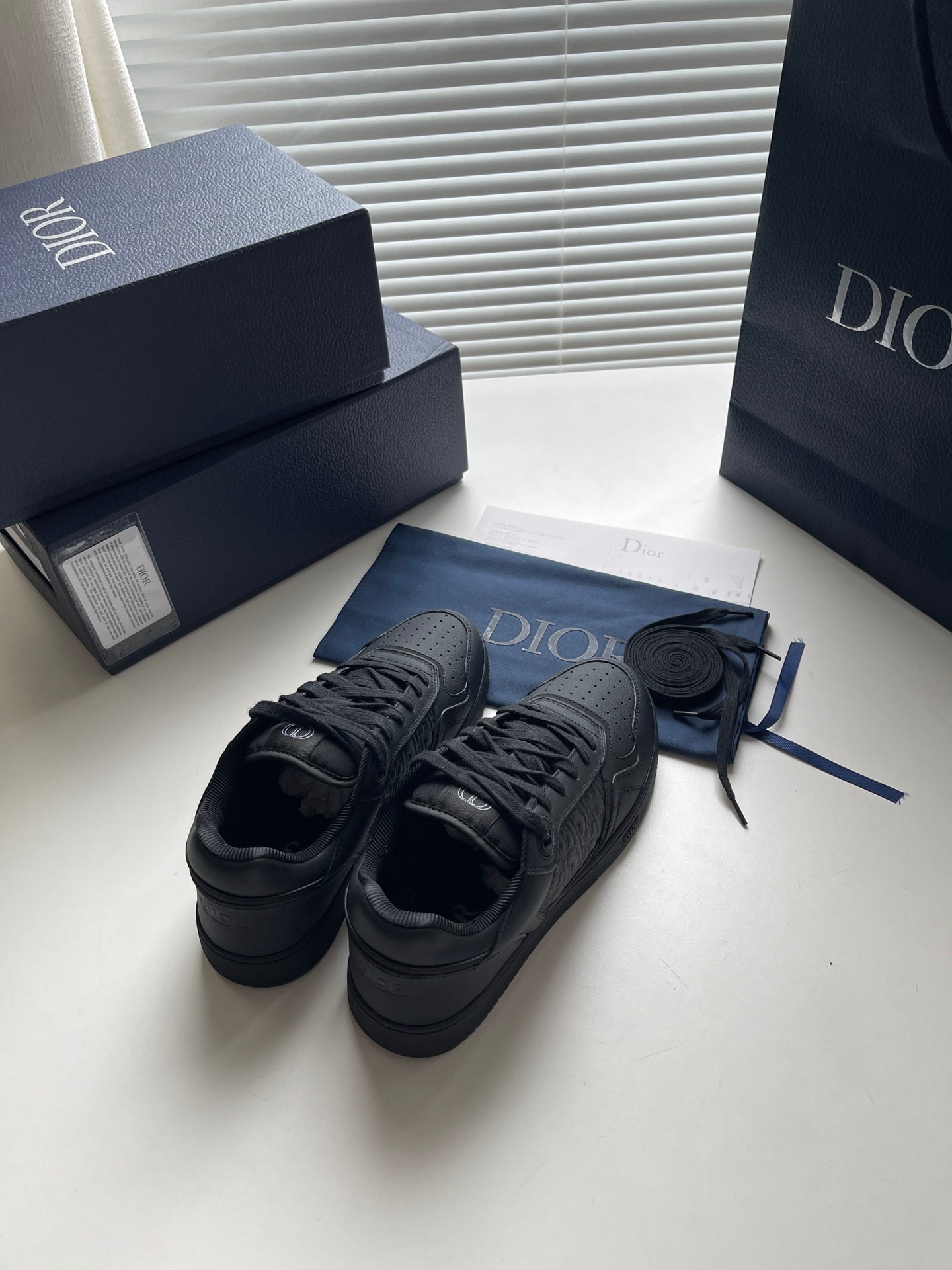 Dior B27 Low-Top Sneaker Black Grained