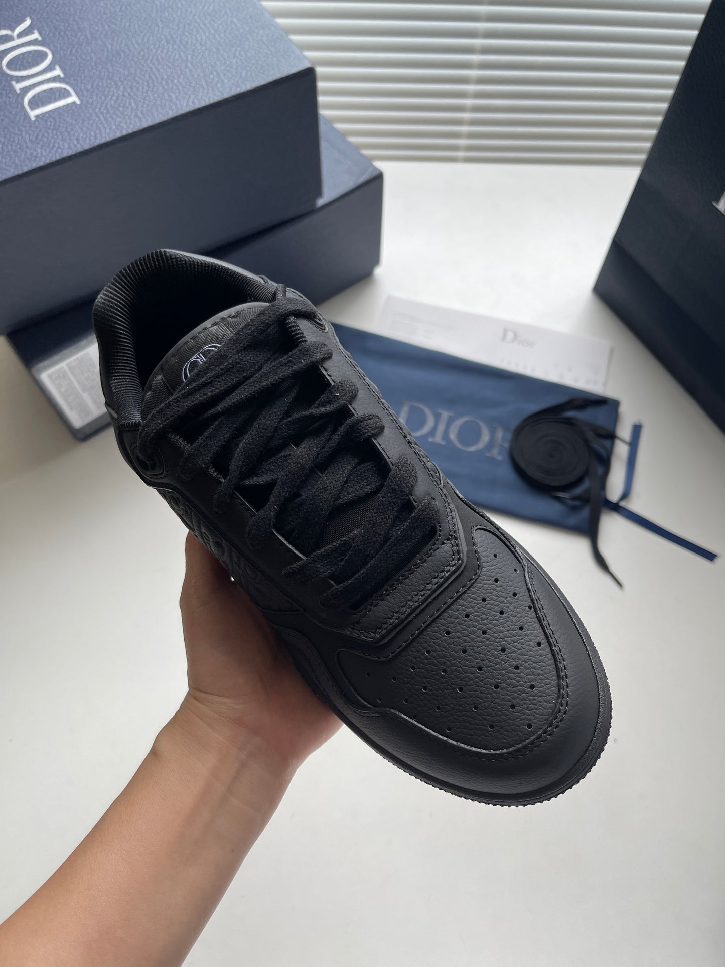 Dior B27 Low-Top Sneaker Black Grained