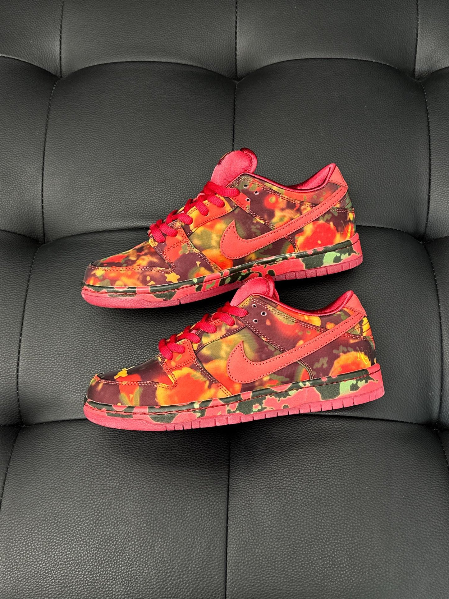 The Wizard of Oz x Dunk Low SB PS 'Poppy Field'