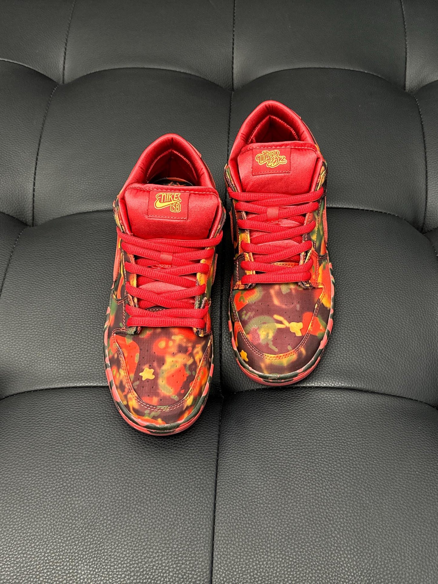 The Wizard of Oz x Dunk Low SB PS 'Poppy Field'