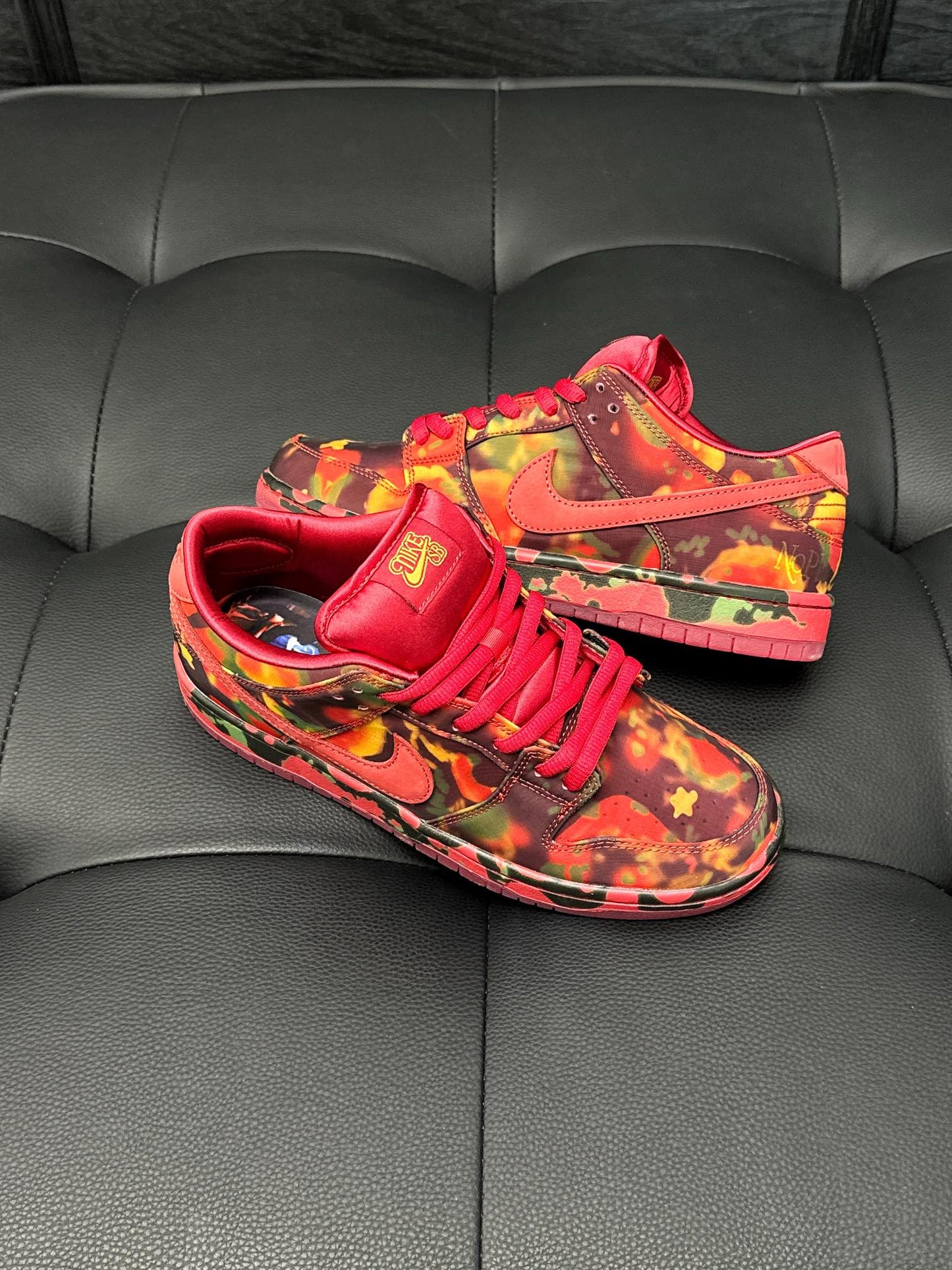 The Wizard of Oz x Dunk Low SB PS 'Poppy Field'