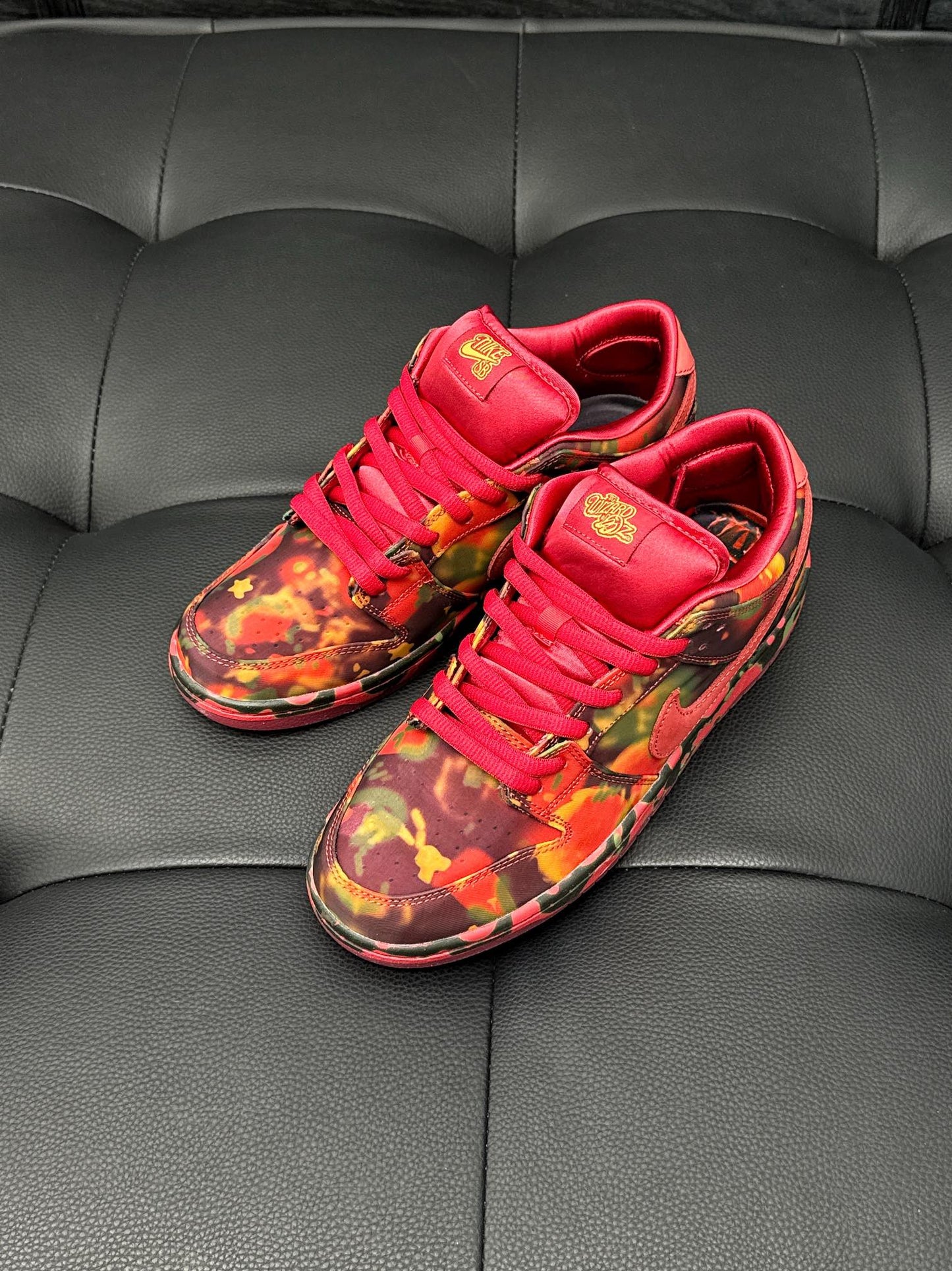 The Wizard of Oz x Dunk Low SB PS 'Poppy Field'