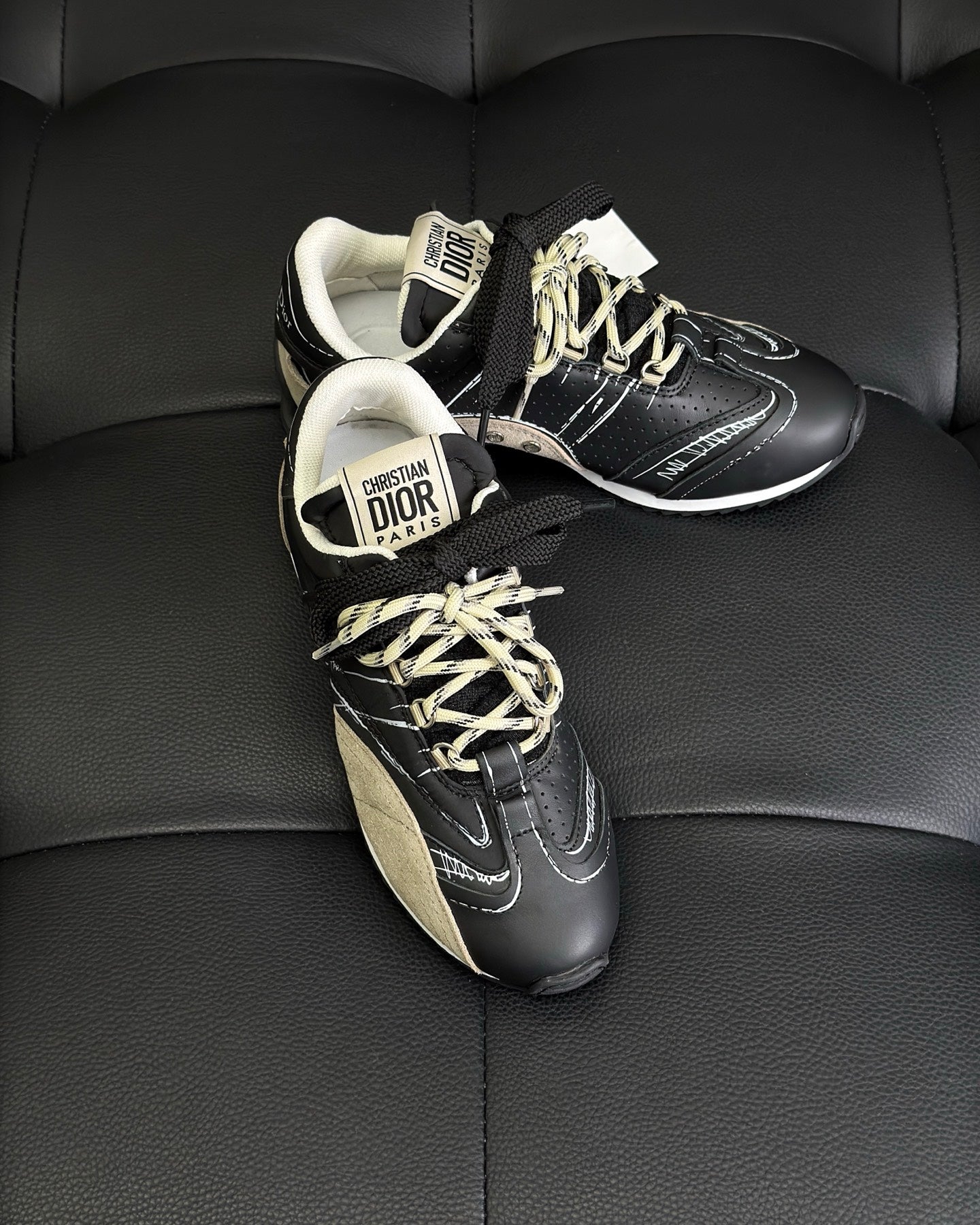 Dior D-Sketch Sneaker Black nylon