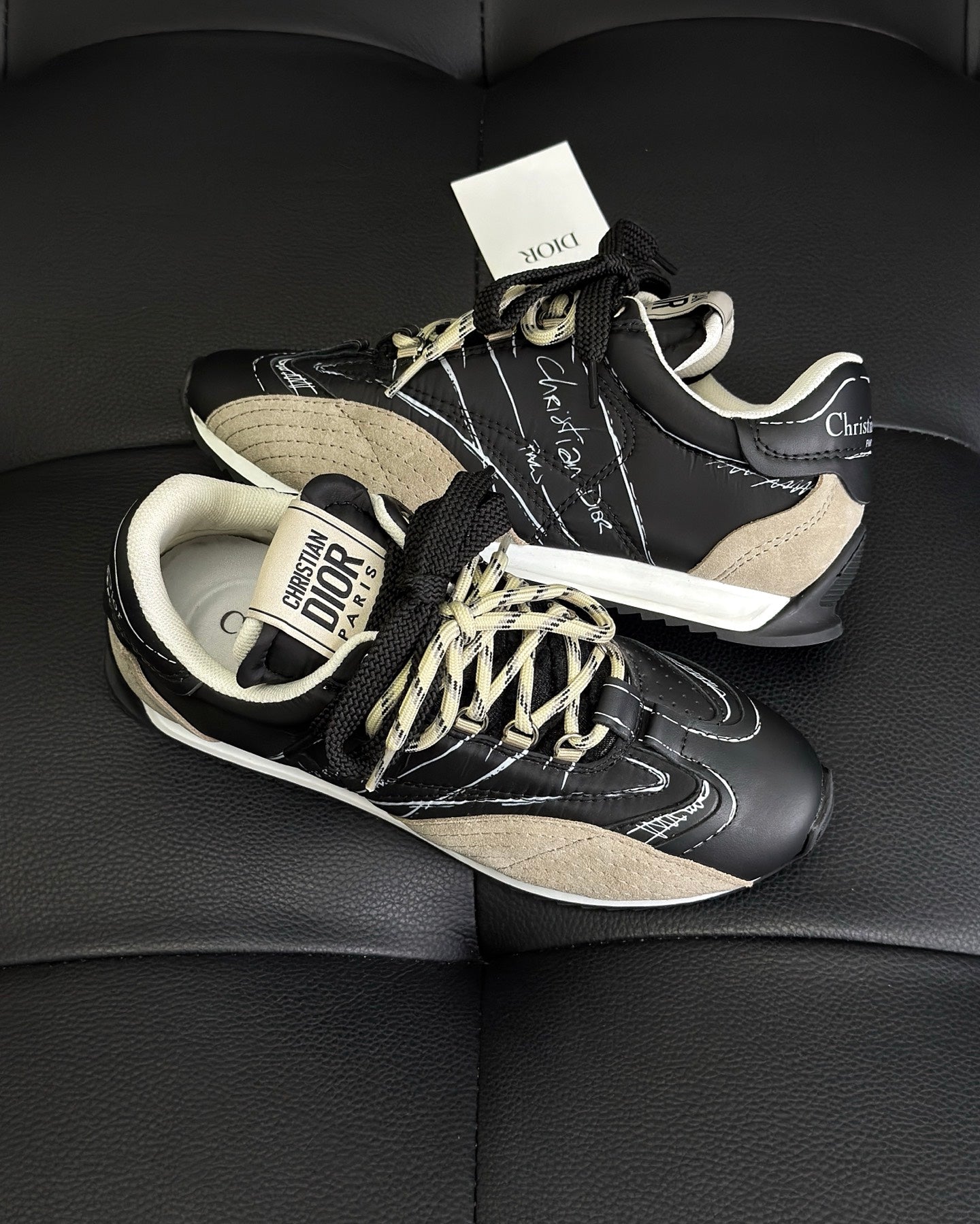 Dior D-Sketch Sneaker Black nylon