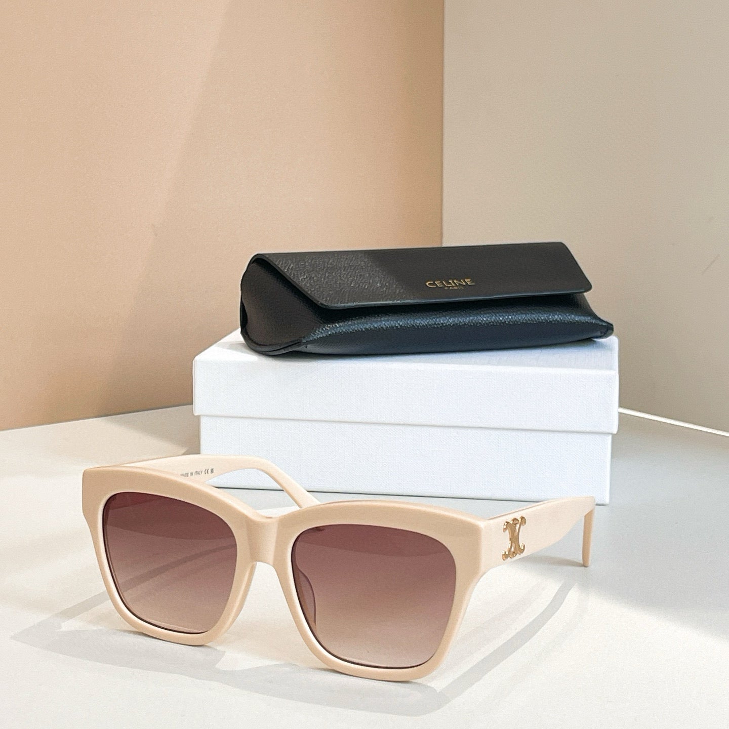 Celine Triomphe 09 Sunglasses in Acetate