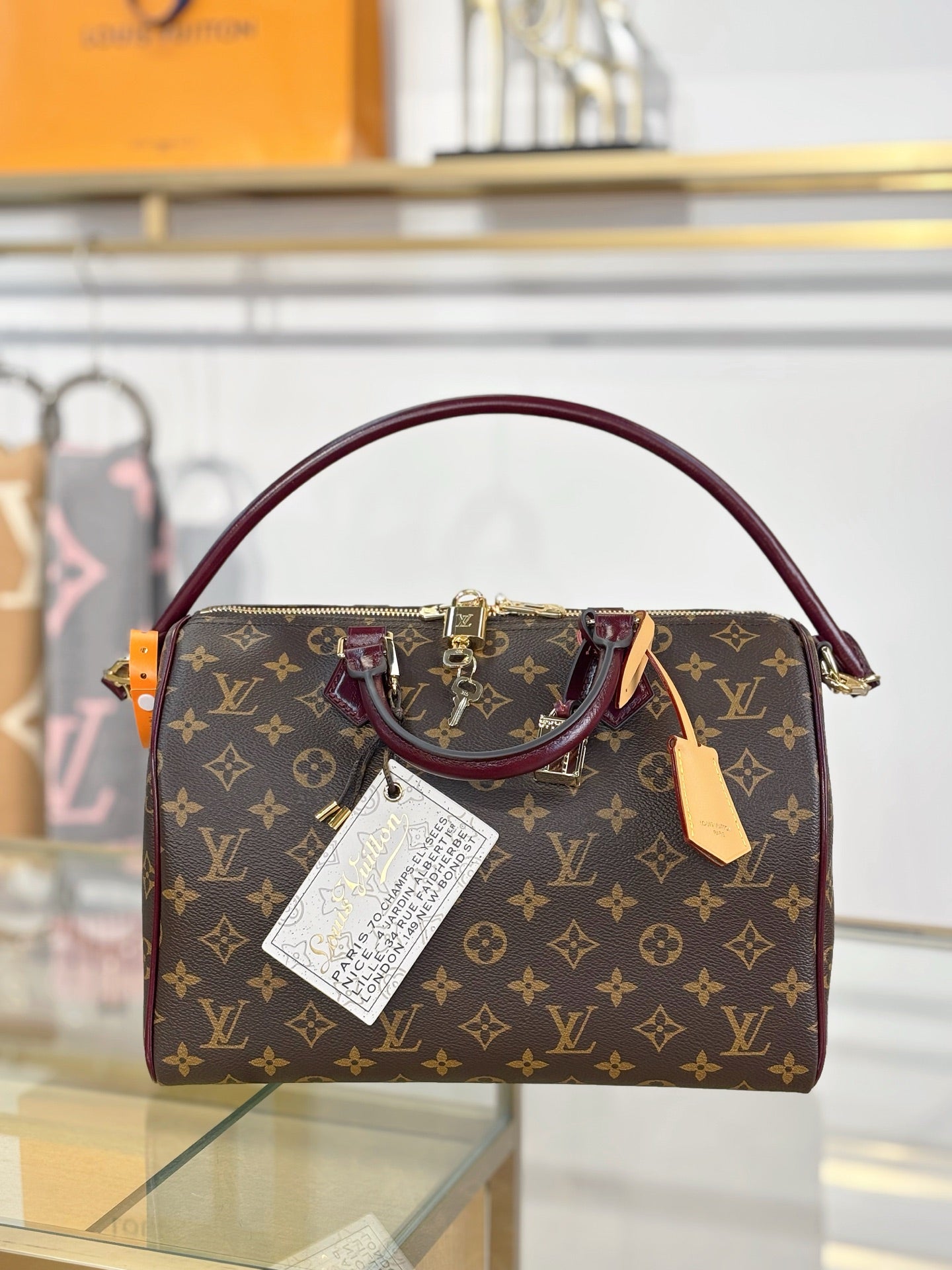 LV Speedy 30 Soft Celebration Bag
