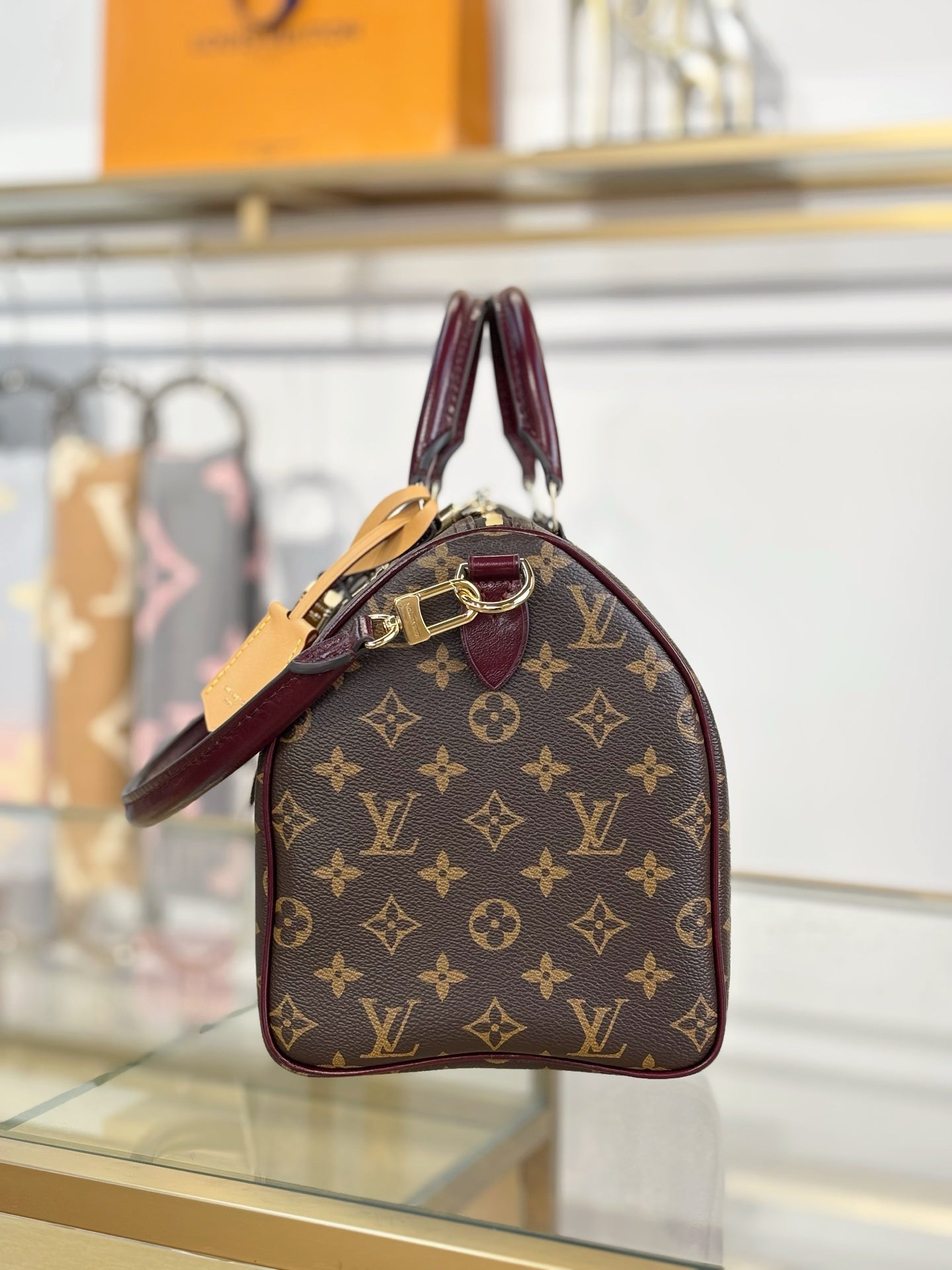 LV Speedy 30 Soft Celebration Bag