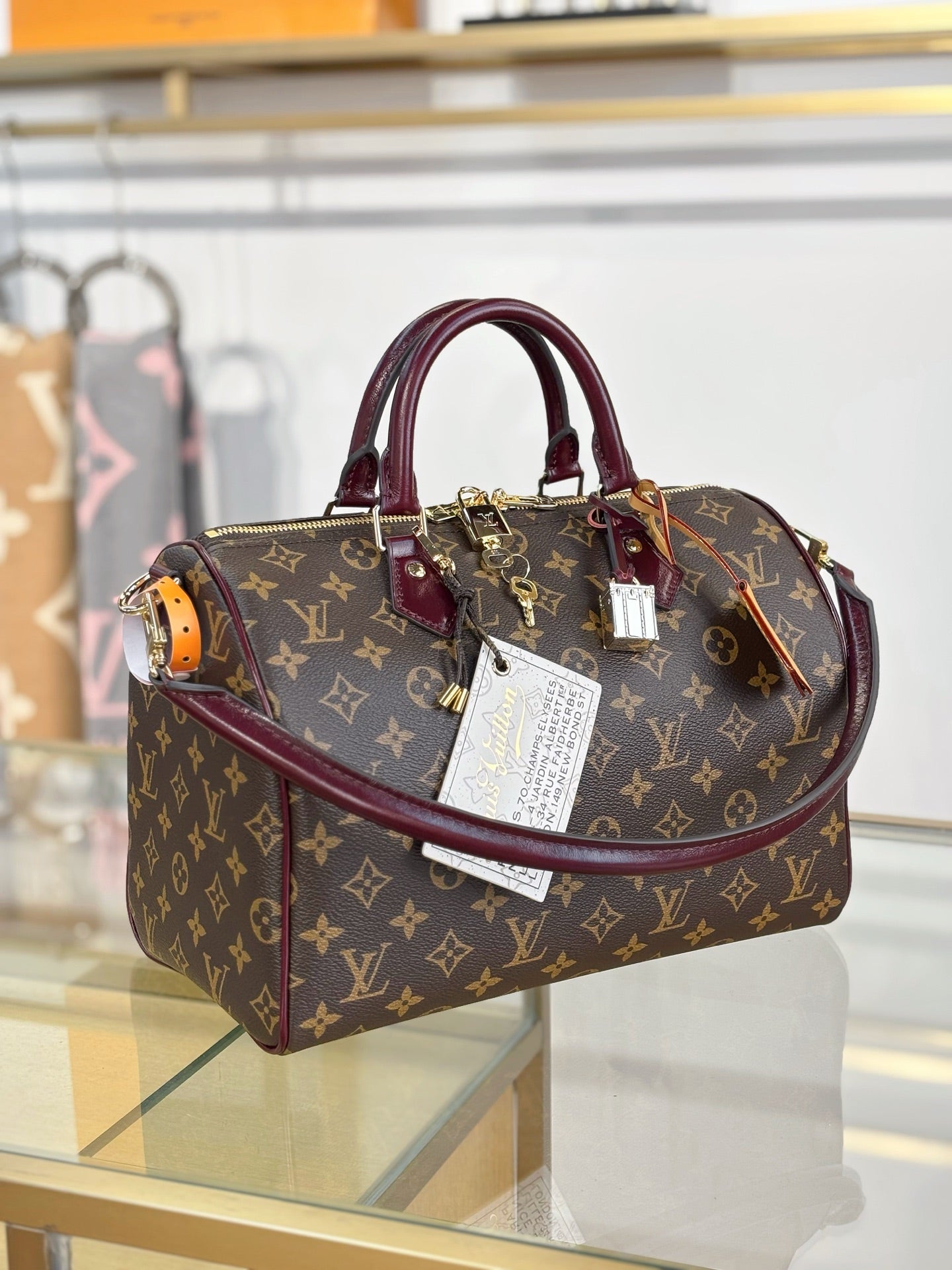 LV Speedy 30 Soft Celebration Bag