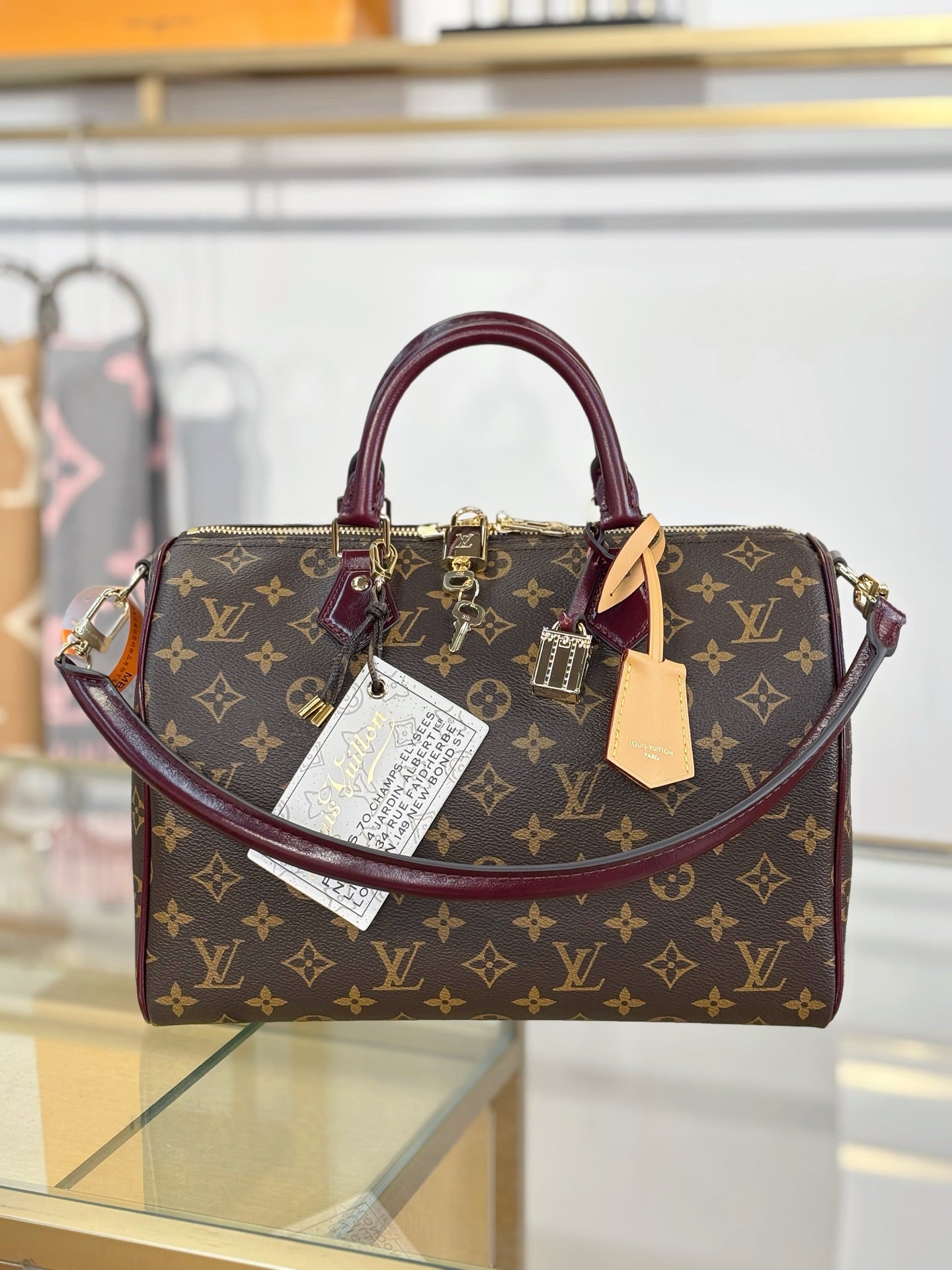 LV Speedy 30 Soft Celebration Bag